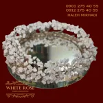 حلقه نبات کاسبرگی
