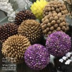 توپی فندق تیره اندازه متوسط - تصویر 2