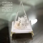 جاحلقه ای مخروطی