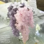 خوشه نبات