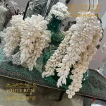 خوشه نقل دراژه