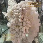 خوشه نقل دراژه