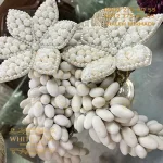 خوشه نقل دراژه