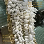خوشه نقل دراژه