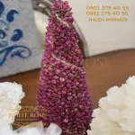 مخروطی گل محمدی