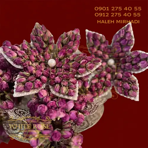 گل گل محمدی گل گل محمدی