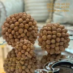 توپی گردو - تصویر 4