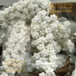 خوشه نقل دراژه