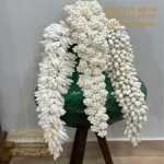 خوشه نقل دراژه