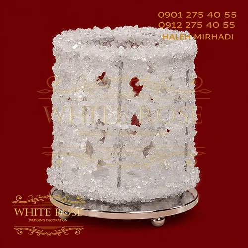 نبات استوانه ای نبات استوانه ای