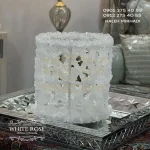 نبات استوانه ای