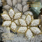گل نقل دور اکلیلی