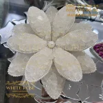 گل لوتوس نبات - تصویر 2